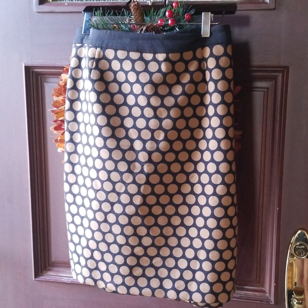 Polka Dot Skirt